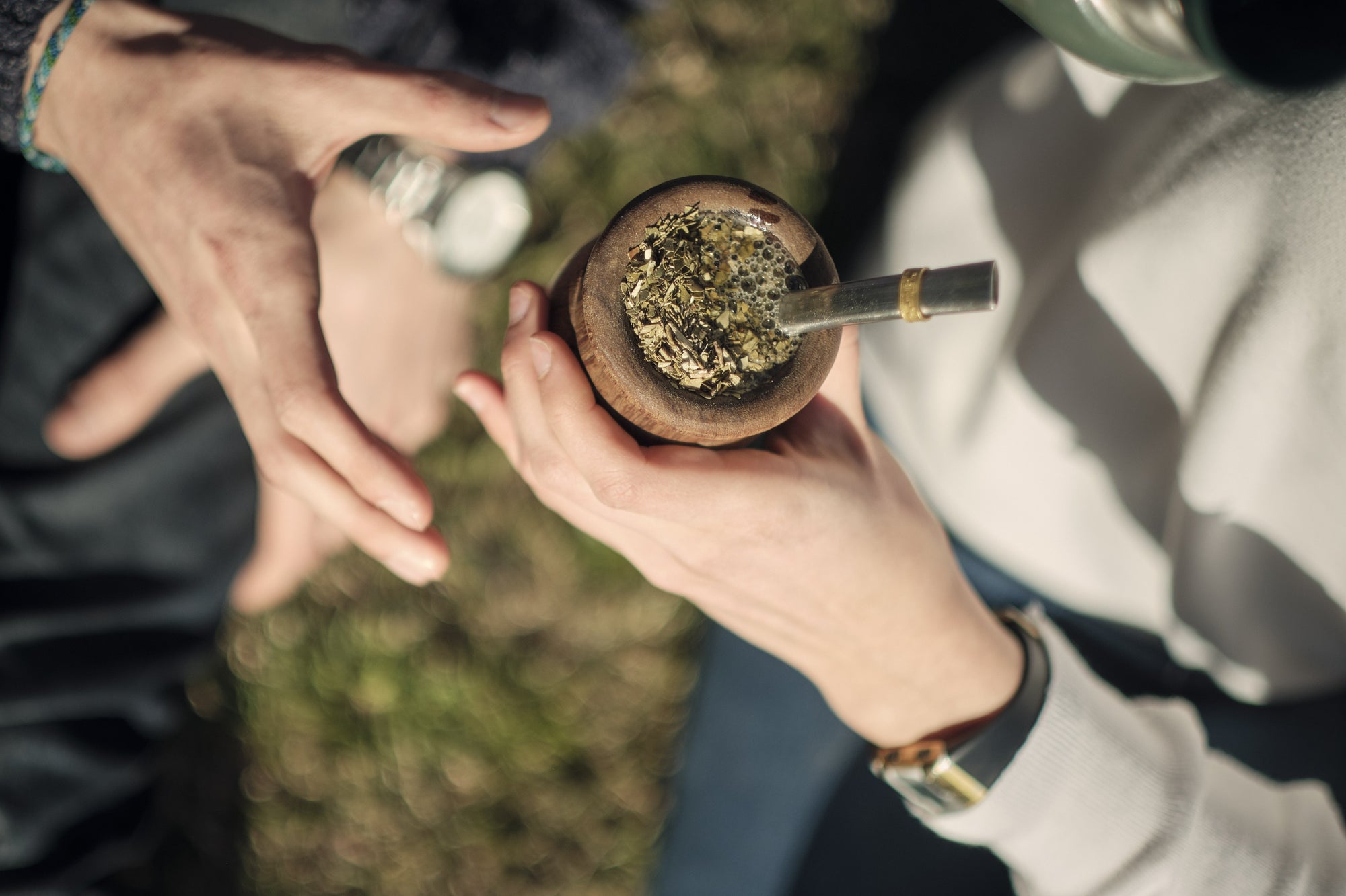The mate ritual